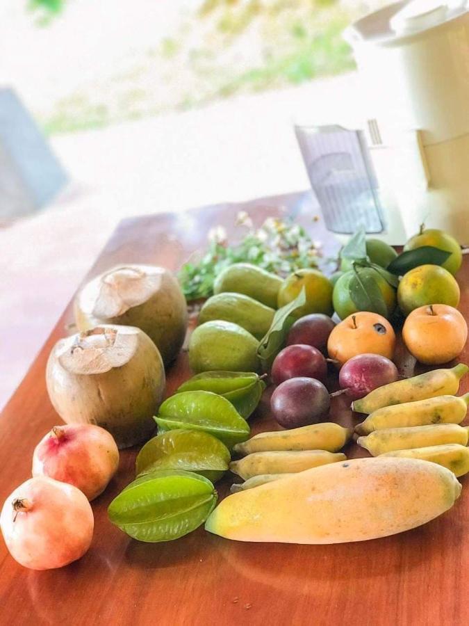 Pài Bjooc homestay Tuyen Quang Esterno foto