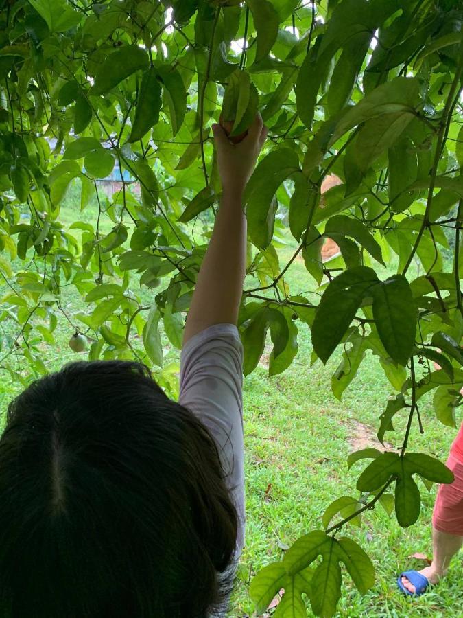 Pài Bjooc homestay Tuyen Quang Esterno foto