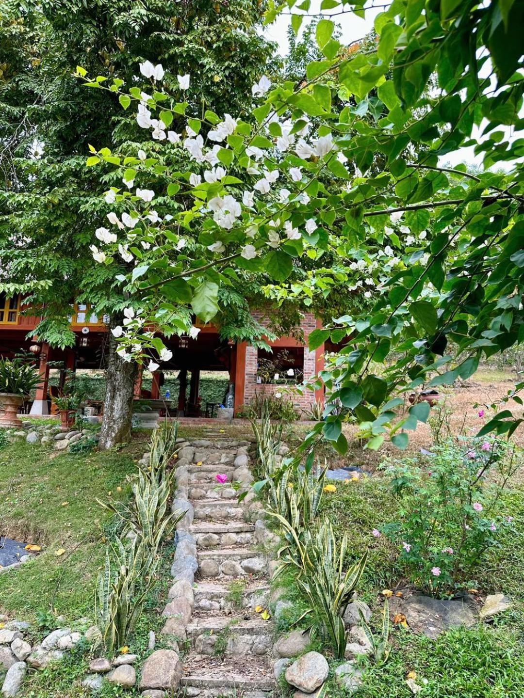 Pài Bjooc homestay Tuyen Quang Esterno foto